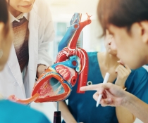 心臟移植及心室輔助器團隊