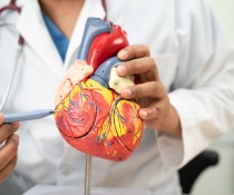 經導管主動脈瓣置換術（TAVI）團隊